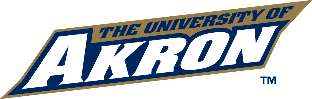 Akron Zips 2002-2007 Wordmark Logo vinyl decal